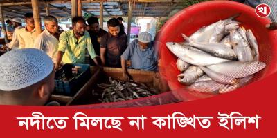 নদীতে মিলছে না ইলিশ, জেলেরা ফিরছেন খালি হাতে