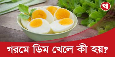 গরমে ডিম কি গরম বাড়ায়?