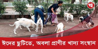 ১০ বছর ধরে ঢাবি ক্যাম্পাসে প্রাণীদের সেবায় শিক্ষার্থীরা