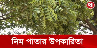 খালি পেটে নিম পাতা খাওয়ার উপকারিতা