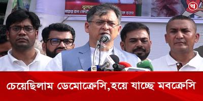 জাতীয় প্রতীকের মার্কা ছাড়া বাংলাদেশে কি আর কোন মার্কা ছিল না: সালাউদ্দিন