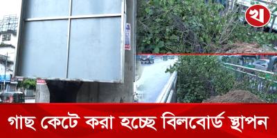 মেট্রোরেলের নিচে গড়ে উঠছে দানবাকৃতির বিলবোর্ড
