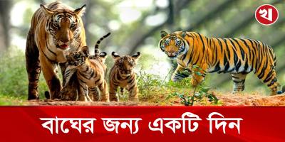 জানেন কি সুন্দরবনে কয়টি বাঘ আছে?