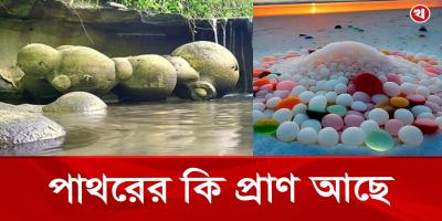 পাথরের কি প্রাণ আছে! কী বলছে বিজ্ঞান