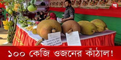 ফল মেলায দেখা গেল ১০০ কেজির বিশাল কাঁঠাল
